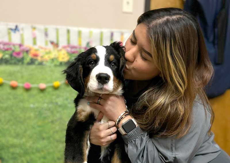 Carousel Slide 2: Dog veterinary care